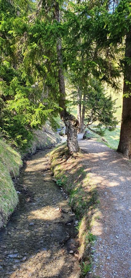 Un Moment De Detente Inoubliable Saillon-Les-Bain Luaran gambar
