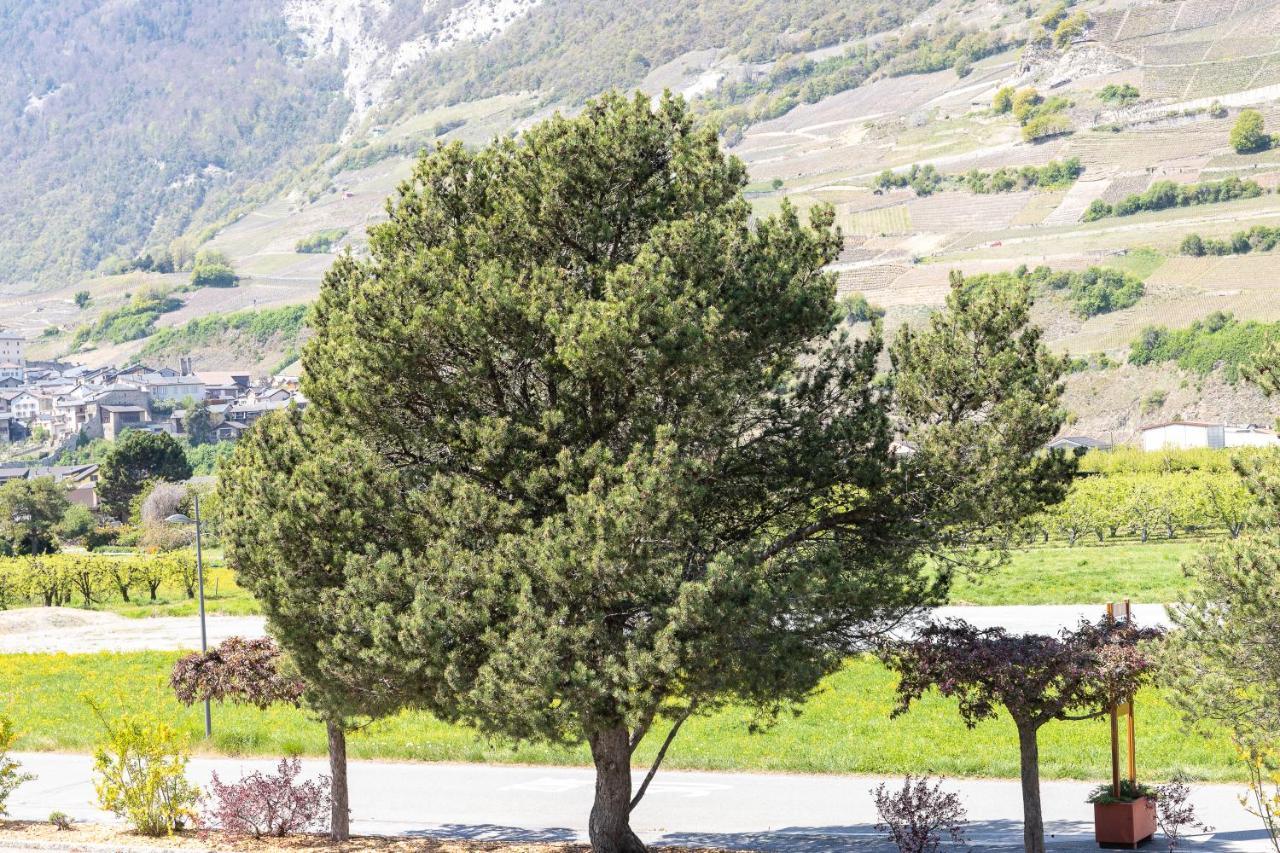 Un Moment De Detente Inoubliable Saillon-Les-Bain Luaran gambar